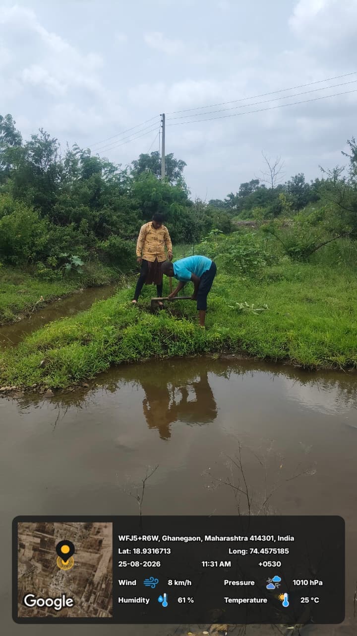 Ghanegaon Tree plantation drive